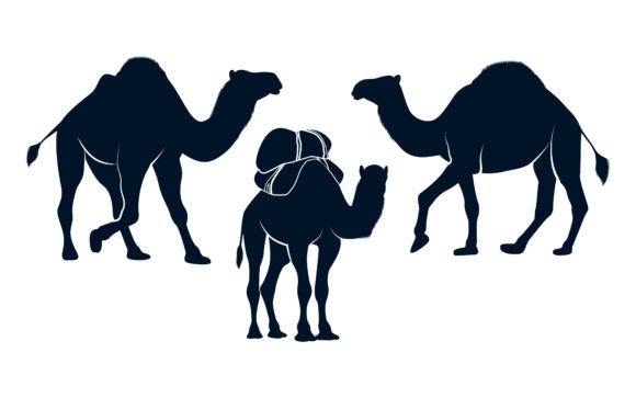 Animal Camel Silhouettes Vector Art: Graphics & Illustrations for Local Branding
