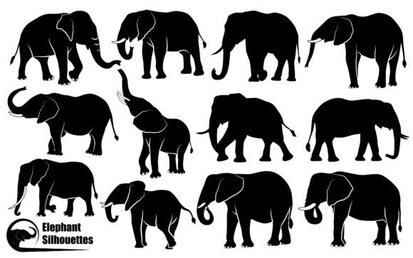 Animal Elephant Silhouettes Vector Art: Graphics & Illustrations for Handmade Makers