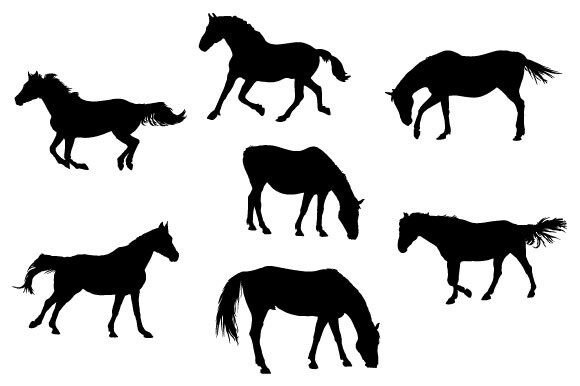 Horse Animal SVG Design: Graphics & Illustrations for Crafters