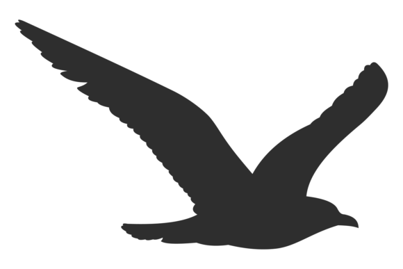 Wild Bird Flying Graphics: Clean Illustrations for Editorial Impact